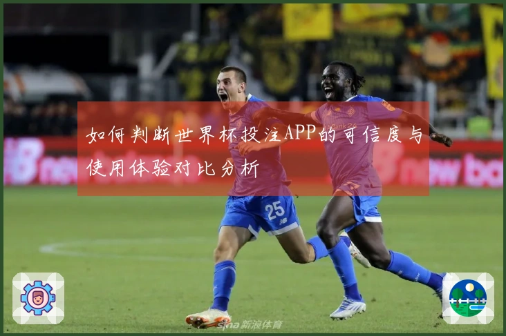 如何判断世界杯投注APP的可信度与使用体验对比分析