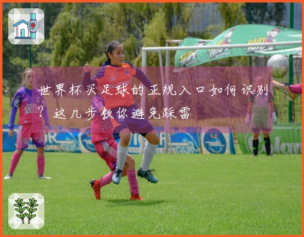 世界杯买足球的正规入口如何识别？这几步教你避免踩雷