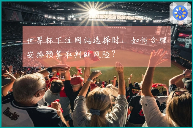 世界杯下注网站选择时，如何合理安排预算和判断风险？