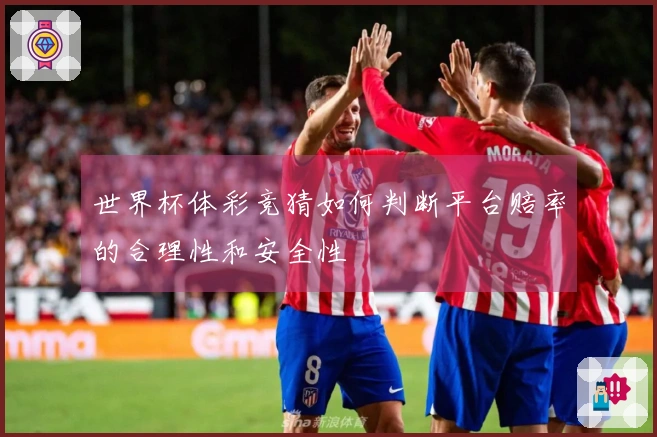 世界杯体彩竞猜如何判断平台赔率的合理性和安全性
