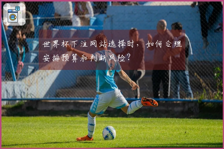 世界杯下注网站选择时，如何合理安排预算和判断风险？