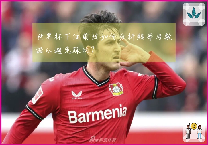 世界杯下注前该如何分析赔率与数据以避免踩坑？