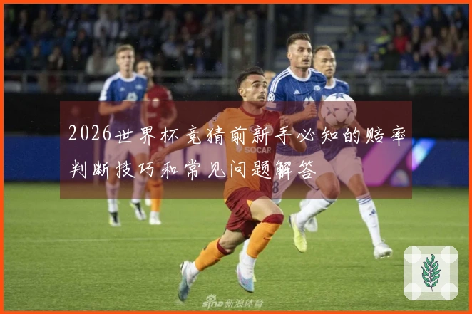 2026世界杯竞猜前新手必知的赔率判断技巧和常见问题解答