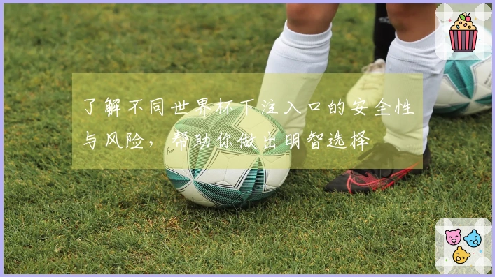 了解不同世界杯下注入口的安全性与风险，帮助你做出明智选择