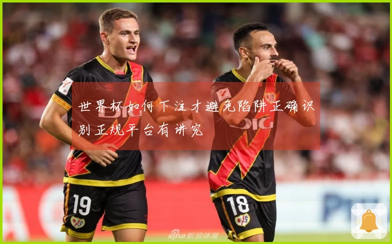 世界杯如何下注才避免陷阱正确识别正规平台有讲究