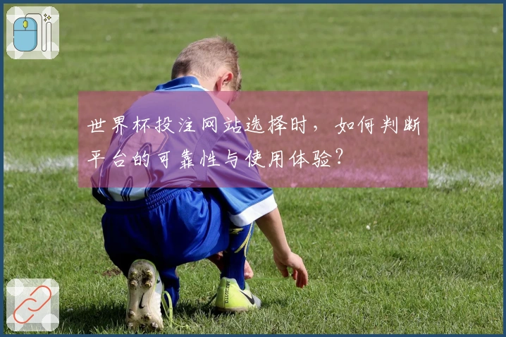 世界杯投注网站选择时，如何判断平台的可靠性与使用体验？