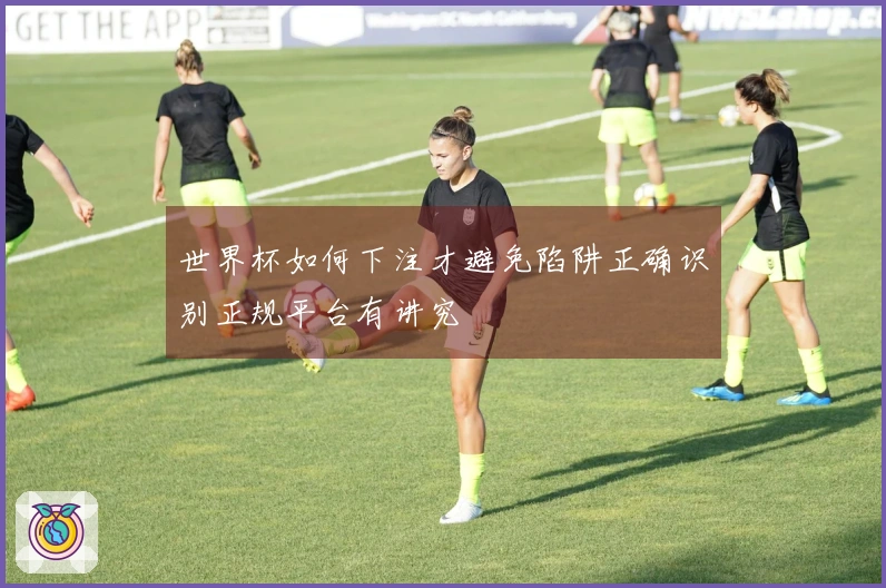 世界杯如何下注才避免陷阱正确识别正规平台有讲究