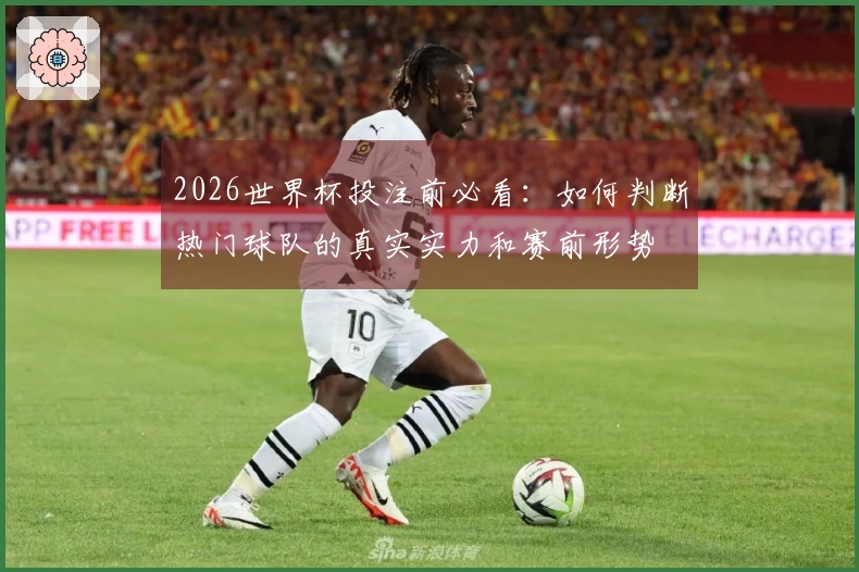 2026世界杯投注前必看：如何判断热门球队的真实实力和赛前形势