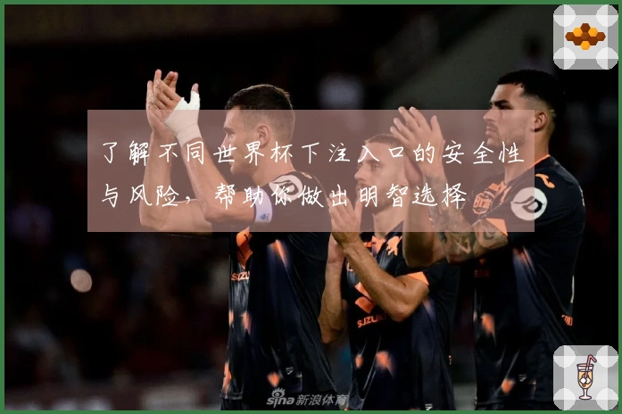 了解不同世界杯下注入口的安全性与风险，帮助你做出明智选择