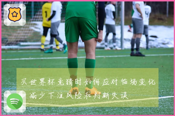 买世界杯竞猜时如何应对临场变化，减少下注风险和判断失误